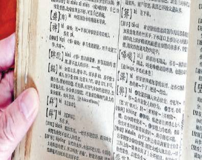 汉语字典软件下载_汉字字典软件好用吗_什么汉字字典软件好用