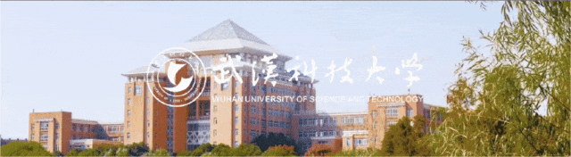 2024武科大诚邀英才武汉科技大学海外人才招聘公告