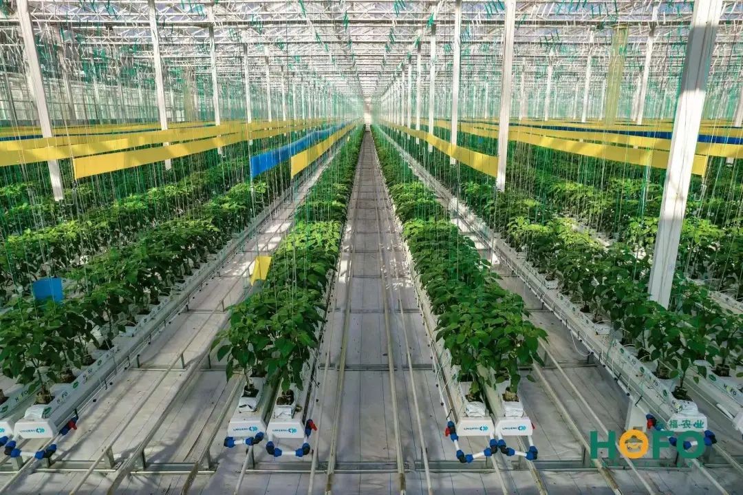 型钢刷油_钢结构刷油_钢结构刷油系数