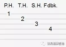 手机看吉他谱软件_吉他谱软件手机版用什么软件_吉他谱软件手机看谱怎么看