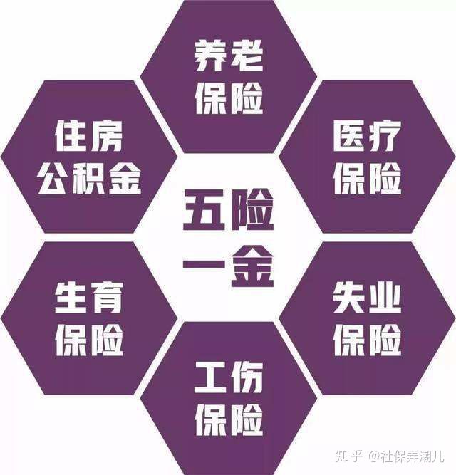 招人去哪个平台_招人_招人的广告词