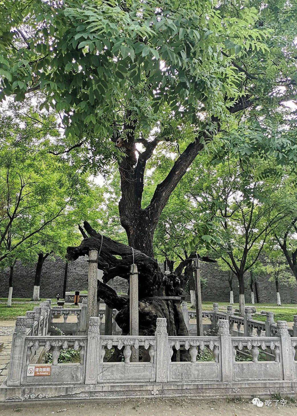 晶体石膏灯除甲醛吗_晶体石膏灯可以防辐射吗_晶体石膏灯 骗局