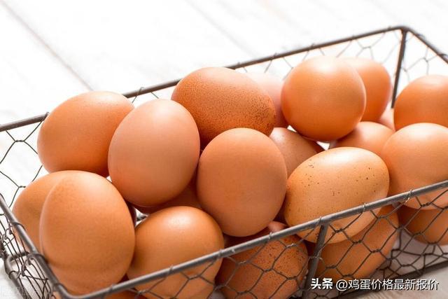 【5月25日】高密名企招聘信息汇总