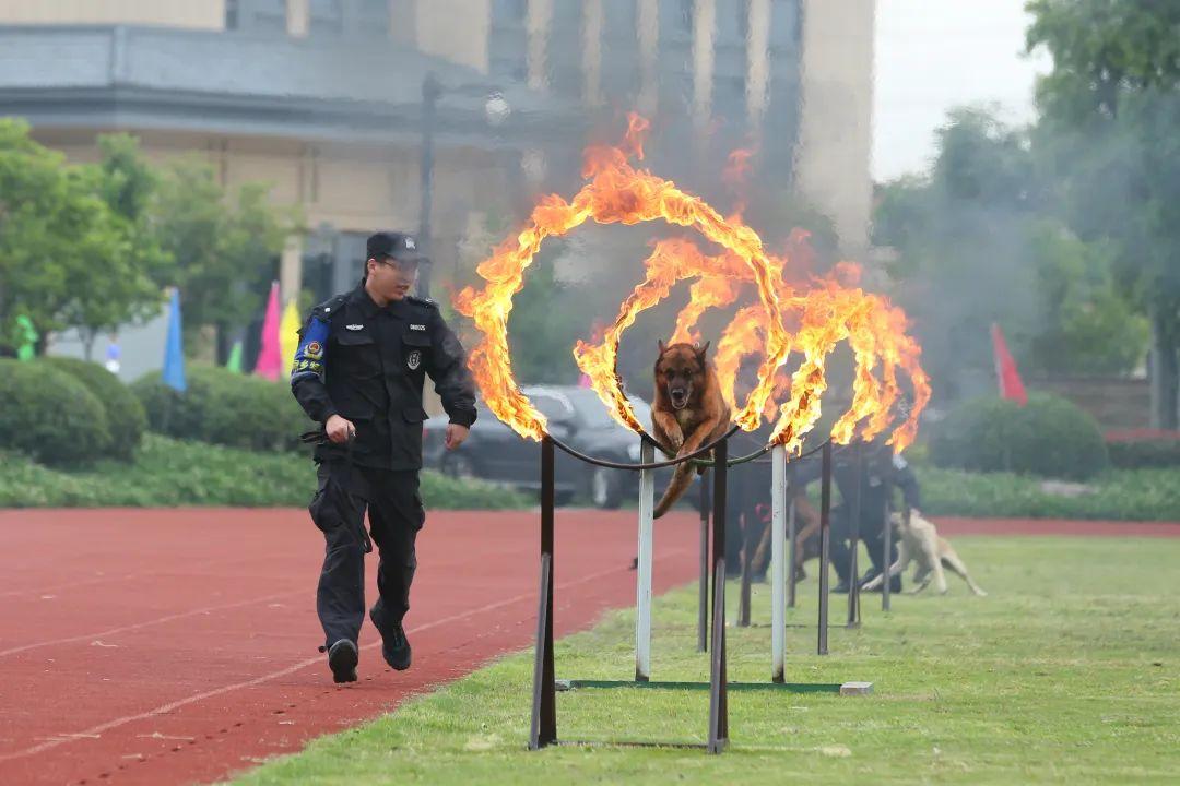 景宁兼职网_景宁哪里招工招临时工_景宁兼职