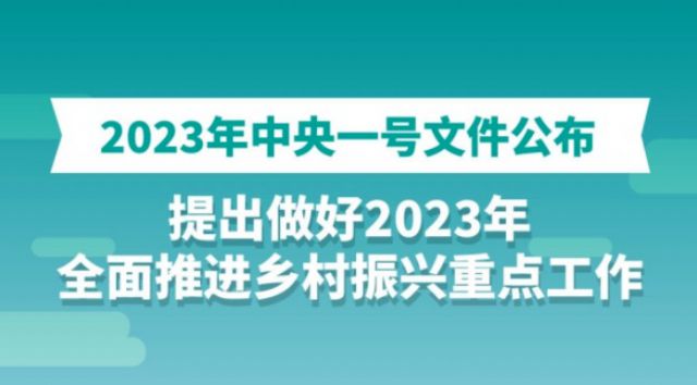 土地政策2024年新规_土地政策2024_土地政策2024年