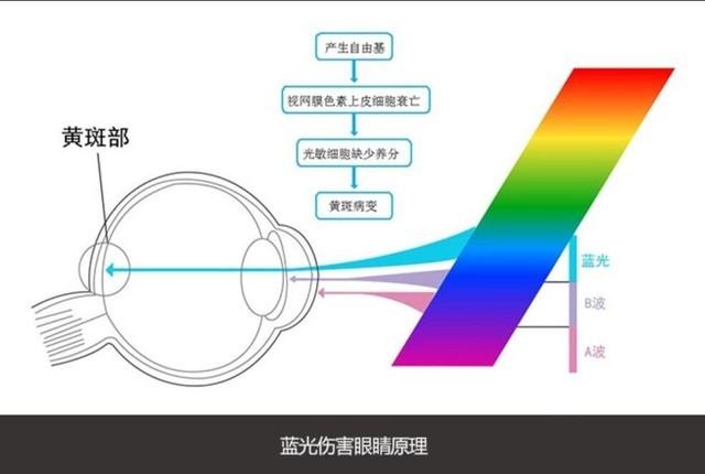 职场亚健康是什么_职场亚健康症状_职场亚健康