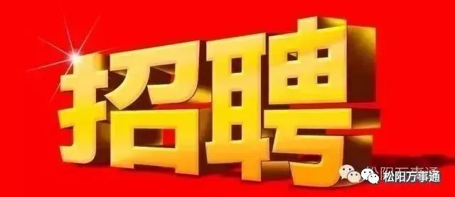 松阳求职_松阳招聘信息网_找工作松阳