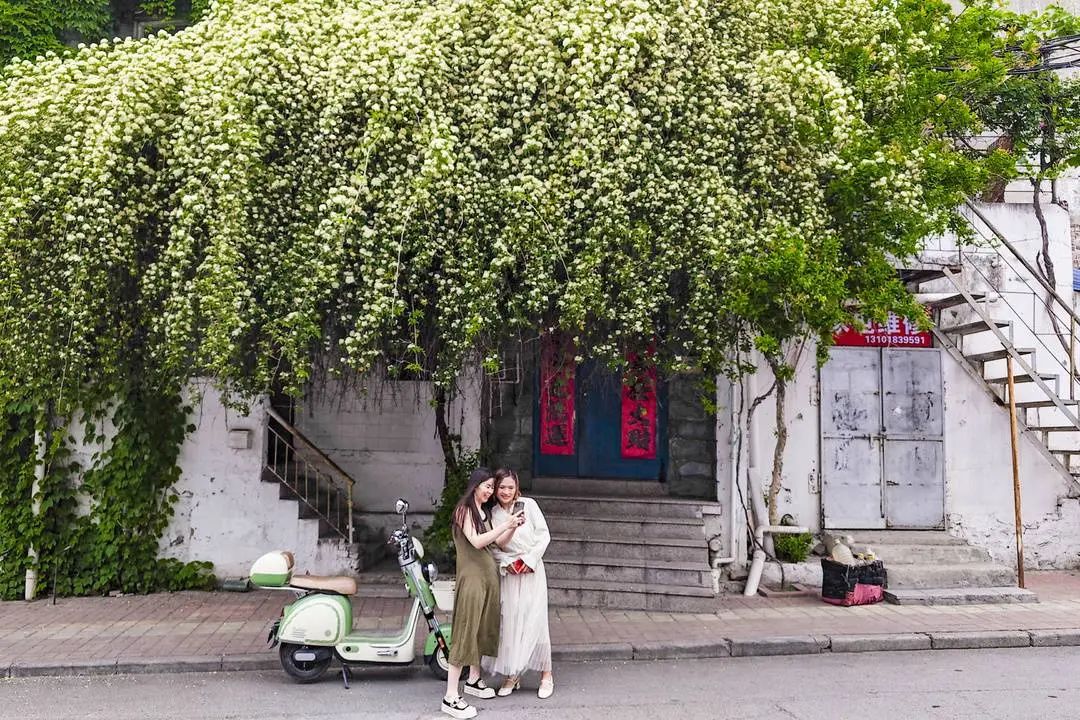 营口人才网招聘招聘_北京人才网招聘招聘_招聘