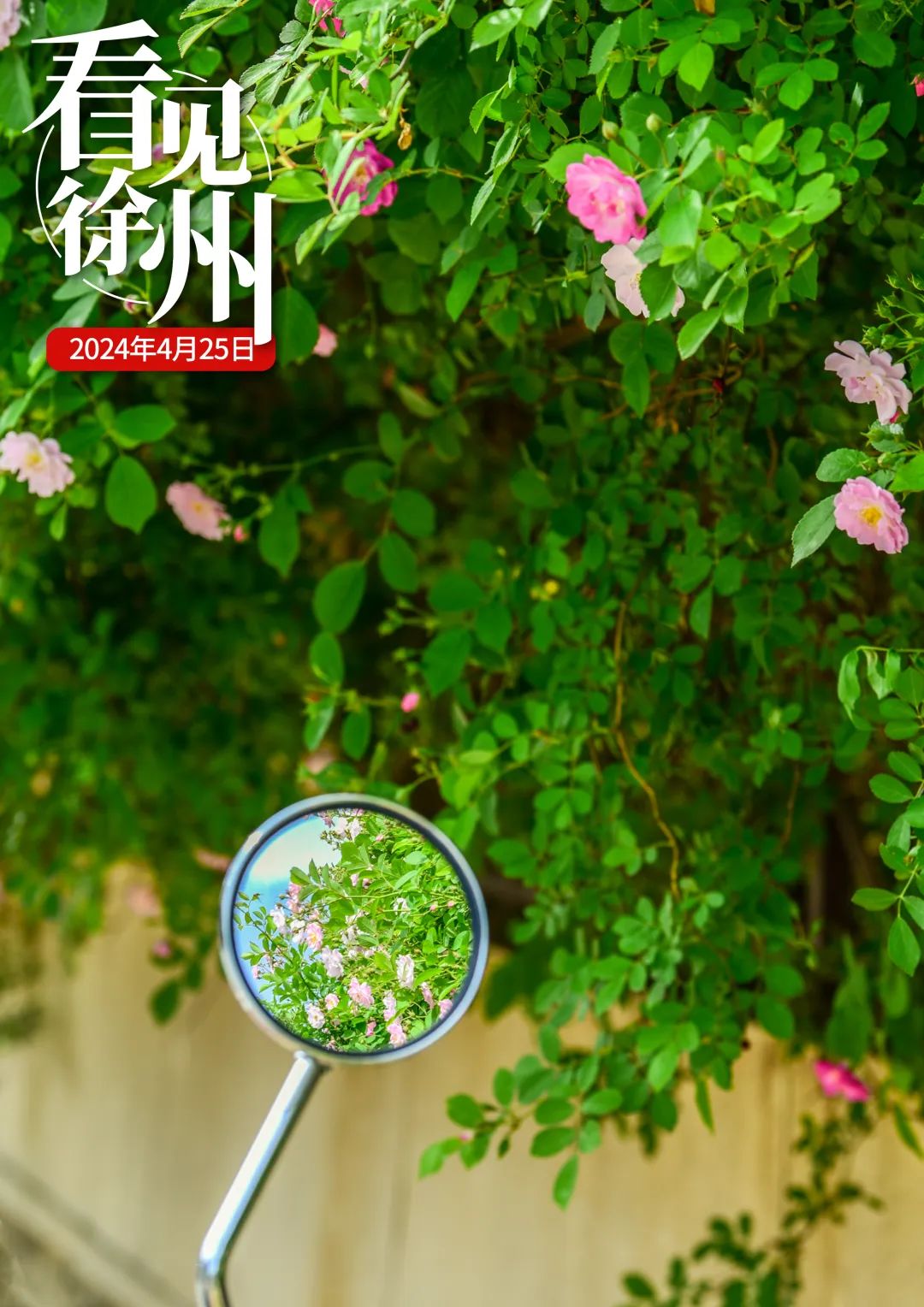 营口人才网招聘招聘_北京人才网招聘招聘_招聘