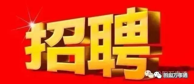 找工作松阳_松阳求职_松阳求职网