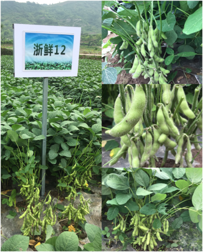 菏泽市巾帼家政_菏泽巾帼家政服务公司_菏泽巾帼家政公司