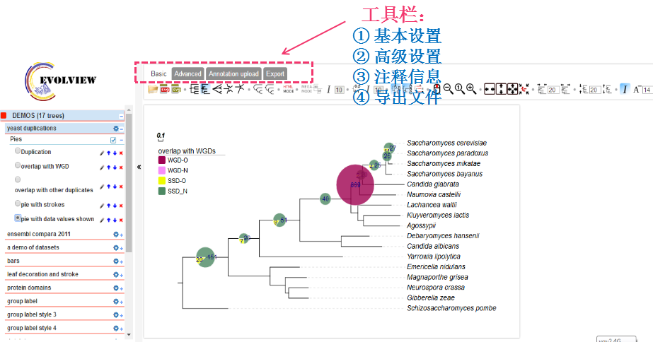 生物信息学在线软件工具_生物信息学软件_生物信息学在线软件