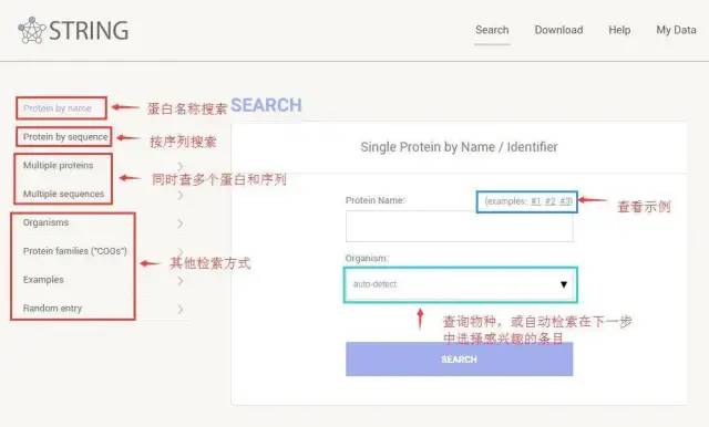 生物信息学在线软件工具_生物信息学在线软件_生物信息学软件