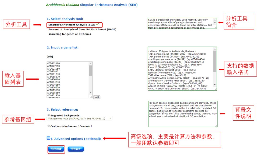 生物信息学软件_生物信息学在线软件工具_生物信息学在线软件