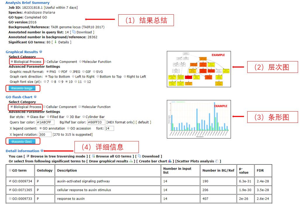 生物信息学在线软件工具_生物信息学软件_生物信息学在线软件