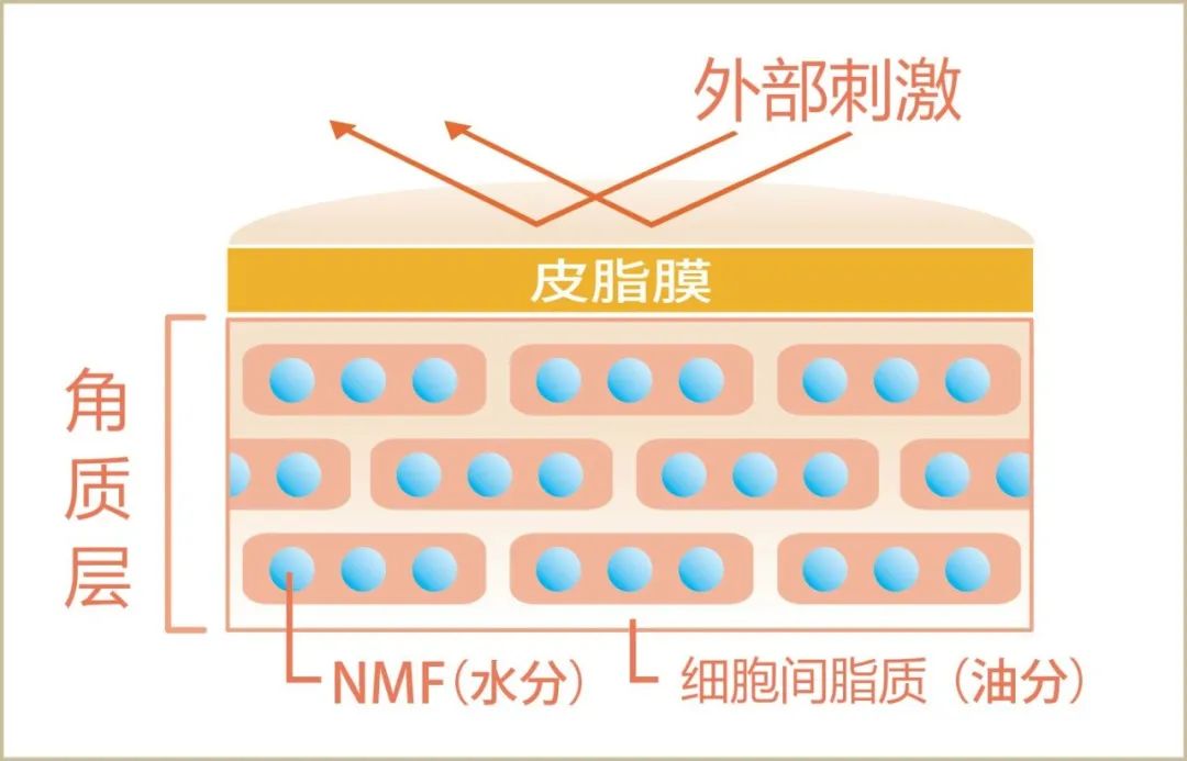 日本胎盘素面膜的功效与作用_日本胎盘素面膜怎么用_日本胎盘面膜素骗局