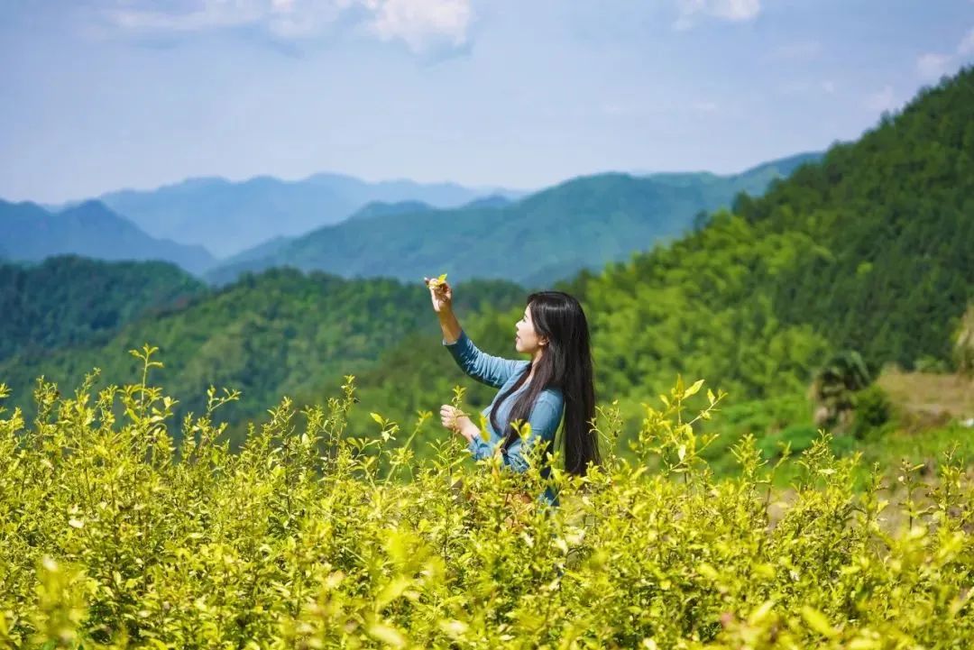 松阳兼职网_松阳兼职_松阳兼职招聘