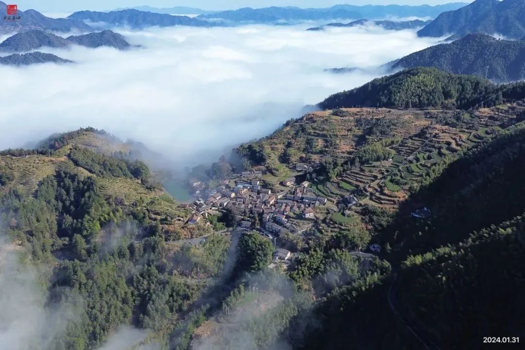 松阳兼职招聘_松阳兼职网_松阳兼职