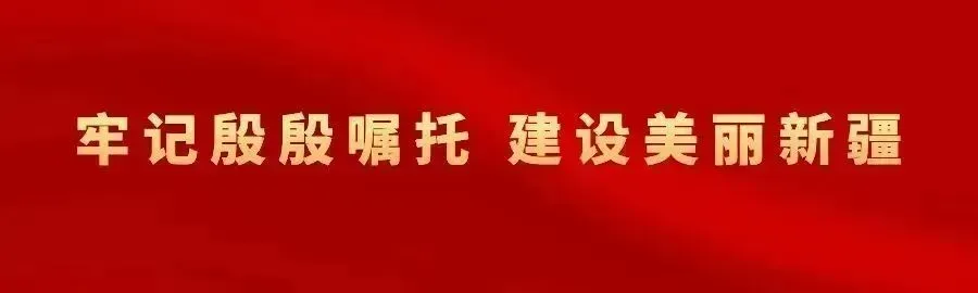 新疆交通职业技术学院招聘公告：高层次人才引进与事业编制人员招聘