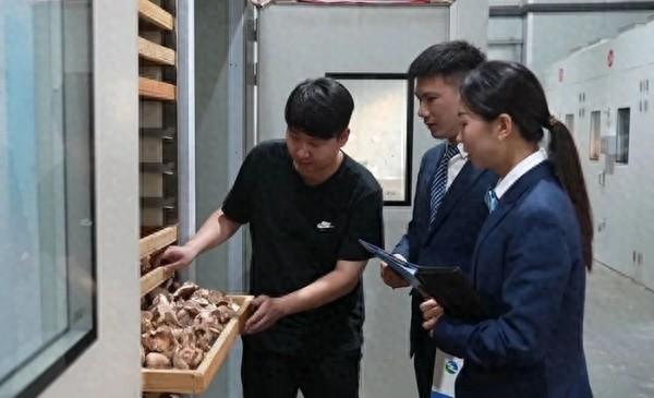 庆元招聘信息2021年四月份_庆元招聘_庆元招聘信息
