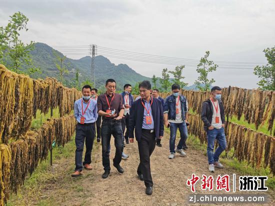 丽水工作招聘网_丽水工作怎么样_丽水工作