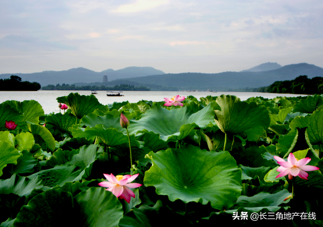 上海房价走势曲线_近10年上海房价走势图_房价走势上海