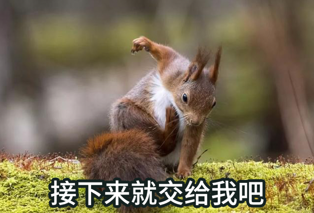 招人在哪个网站比较好找_招人去哪个平台_招人