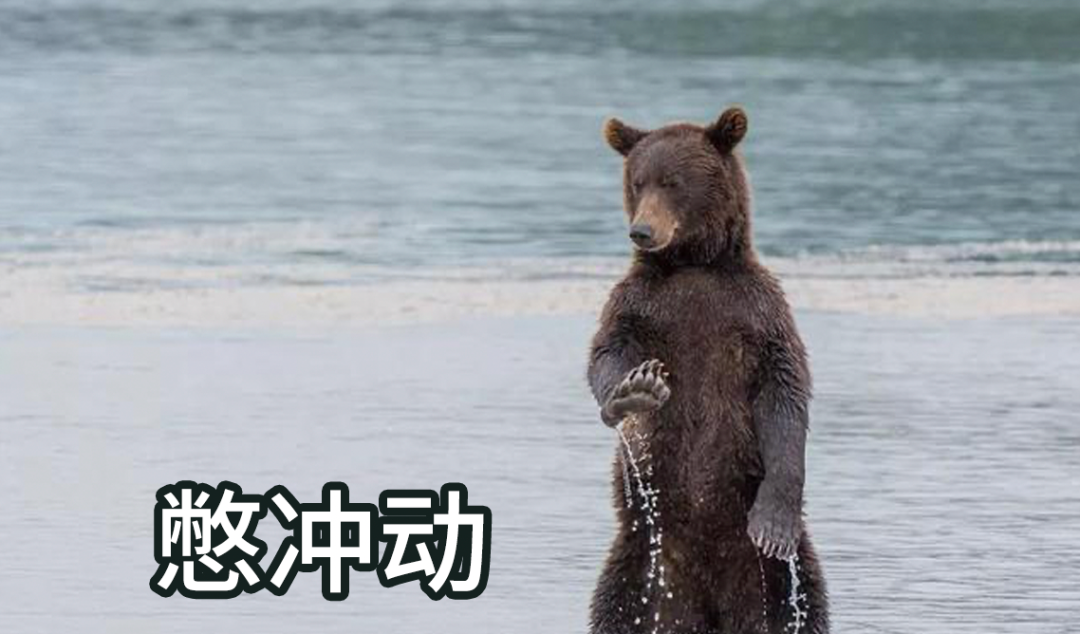 招人去哪个平台_招人在哪个网站比较好找_招人