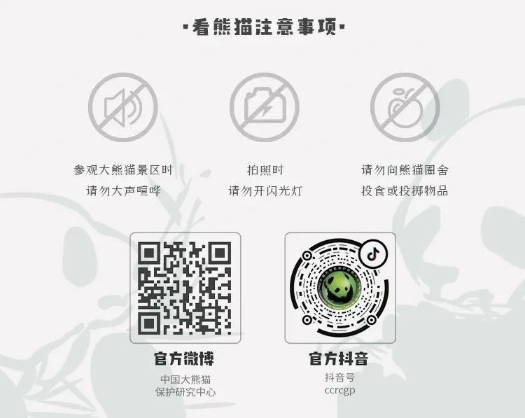 主播诈骗_主播招聘_主播