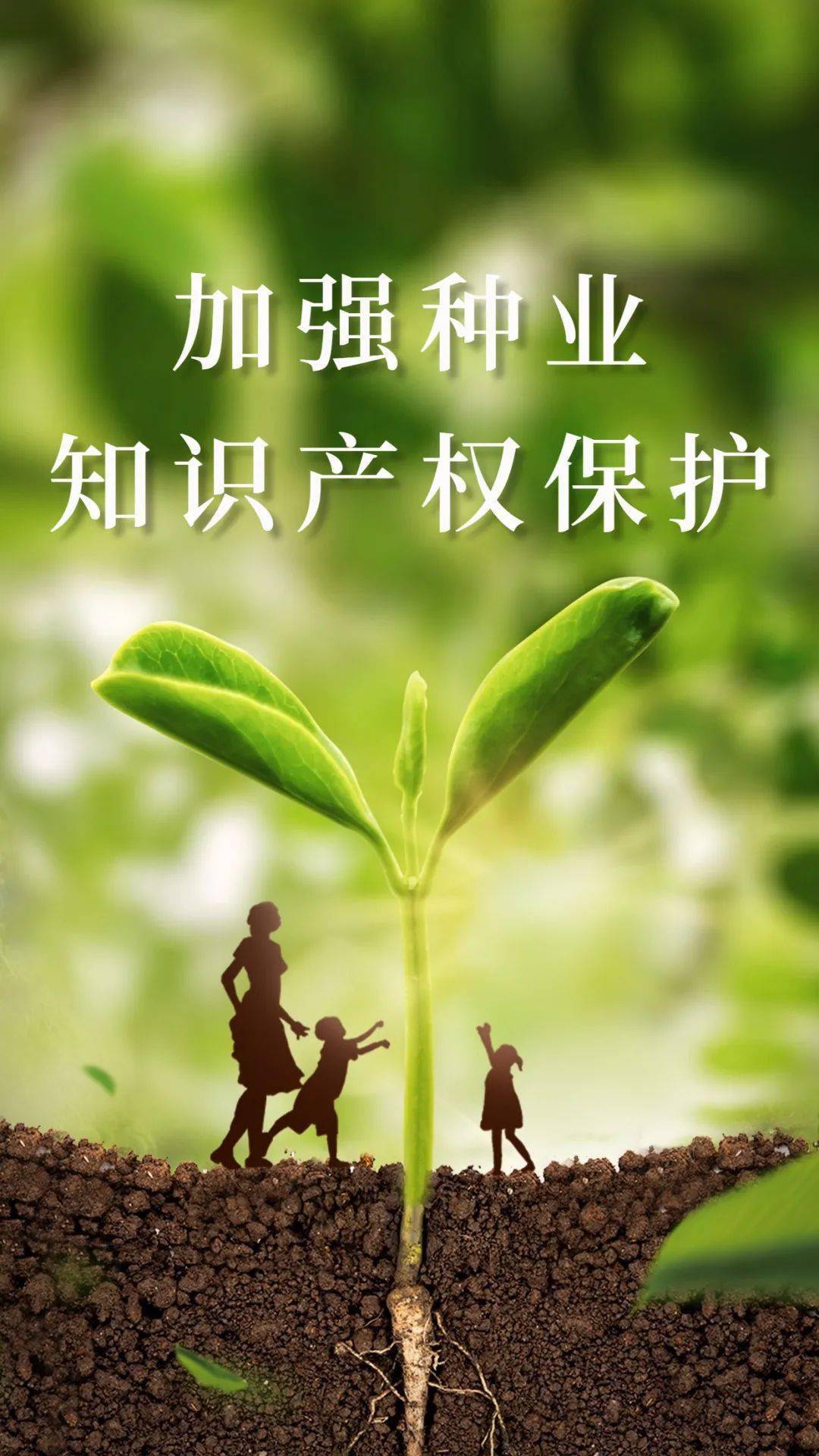 山西省知识产权保护中心 （山西省知识产权信息公共服务中心） 2024年公开招聘工作人员公告