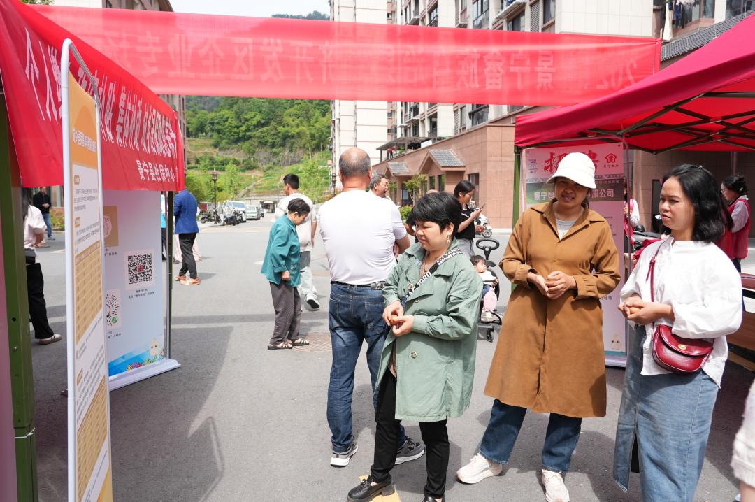 景宁求职_景宁招聘网最新招聘_景宁招聘会