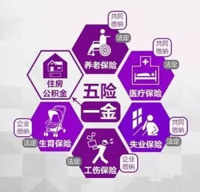 嘉祥港招聘：苫盖人员、装卸工、保卫，五险一金，福利优厚