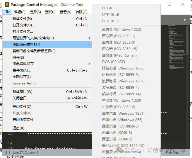 sublime text 3_sublime怎么運行代碼_SublimeText中文版