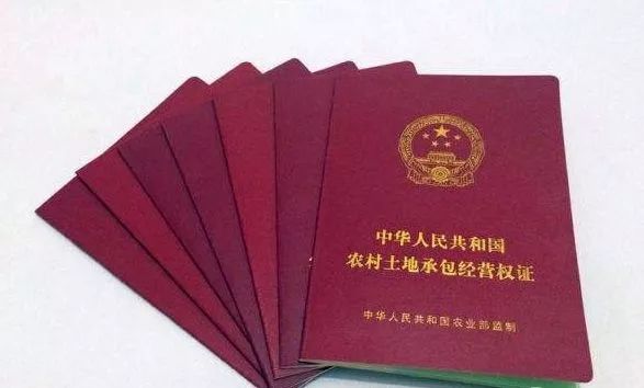我想了解一下农村土地政策_农村土地政策文件_农村 土地政策