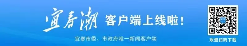 招聘网boss直聘_招聘网_招聘