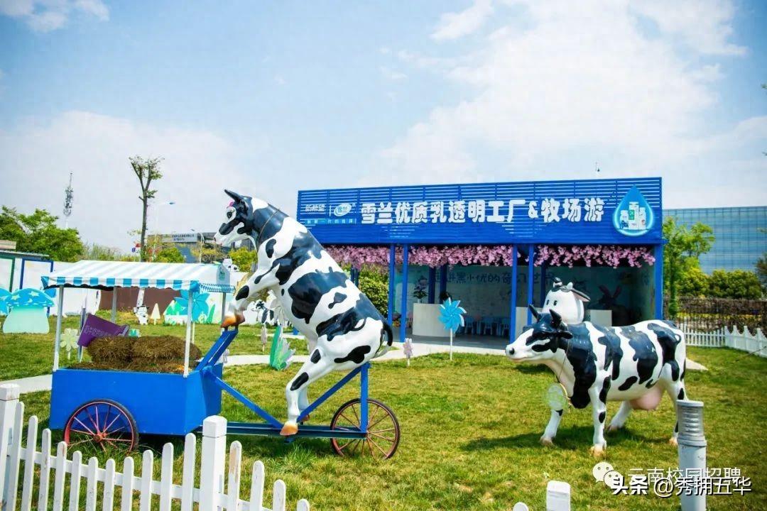 新希望·雪兰牛奶 2024 年招聘公告，加入云南乳制品龙头企业