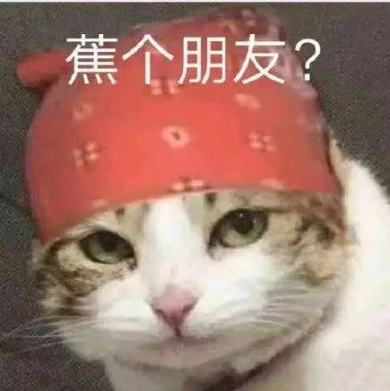 主播_主播招聘_主播诈骗