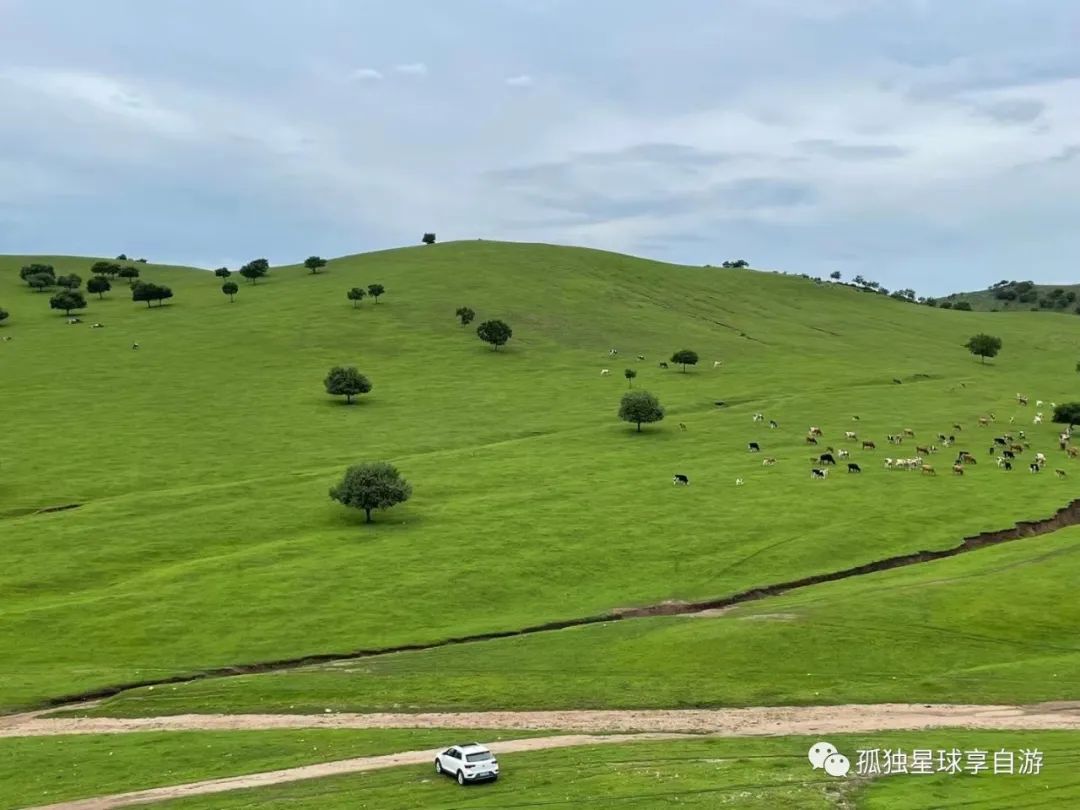 自驾租车软件好用吗_自驾租车哪个软件好_自驾租车软件好用不