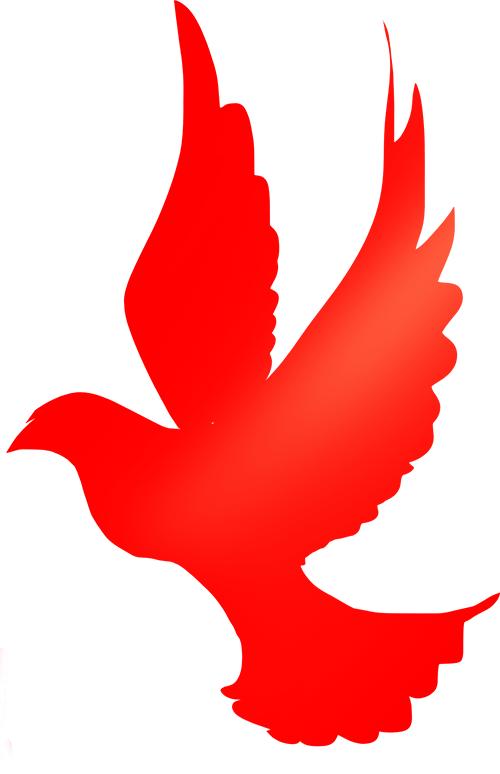 钢构油漆工艺_钢结构油漆标准工艺及验收标准_钢结构油漆施工规范