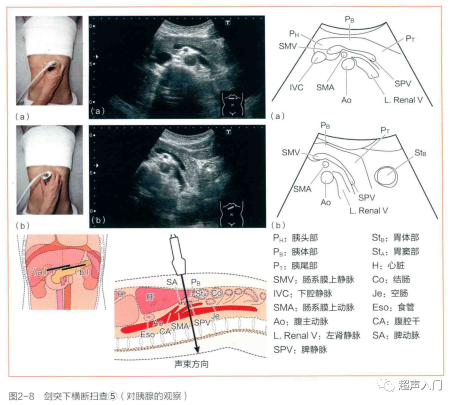 医疗单位面试技巧和注意事项_医疗面试需要注意的问题_医疗单位面试专业知识