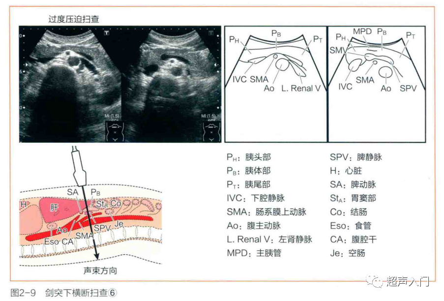 医疗单位面试专业知识_医疗单位面试技巧和注意事项_医疗面试需要注意的问题