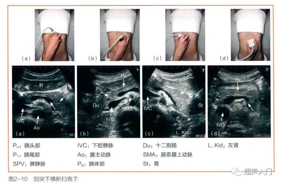 医疗单位面试专业知识_医疗面试需要注意的问题_医疗单位面试技巧和注意事项