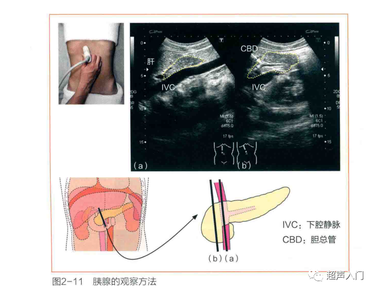 医疗单位面试专业知识_医疗面试需要注意的问题_医疗单位面试技巧和注意事项