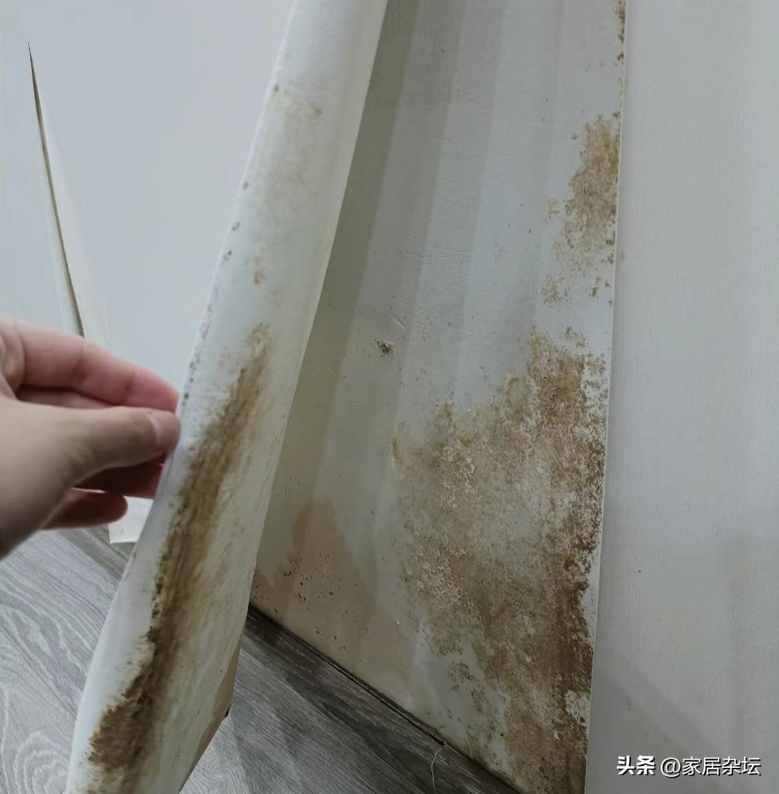 便宜装修环保材料有哪些_便宜装修环保材料有甲醛吗_有哪些环保又便宜的装修材料