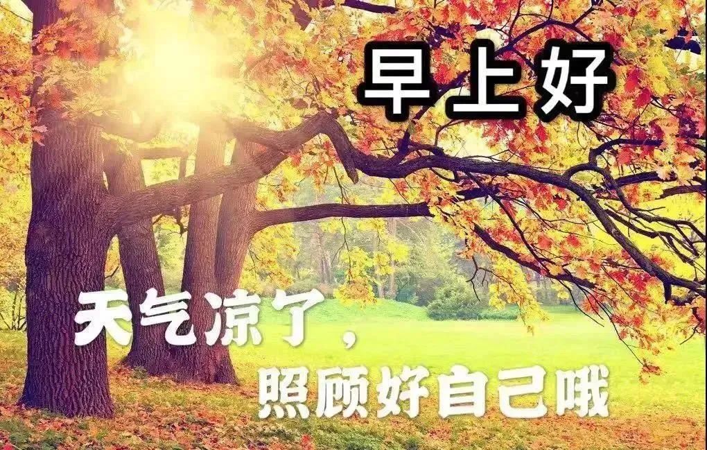 职场励志的心灵鸡汤短句_职场励志心灵鸡汤短文_职场励志心灵鸡汤语录