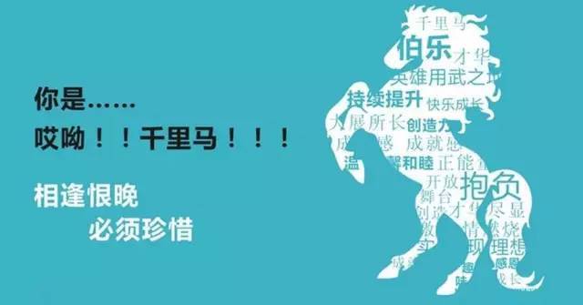 招人去哪个平台_招人在哪个网站比较好找_招人