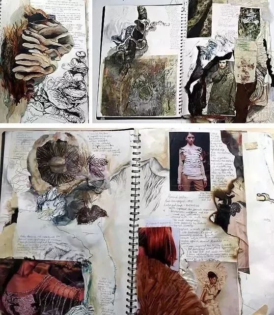 sketchbook手机版_sketch book_sketchbook下载官网