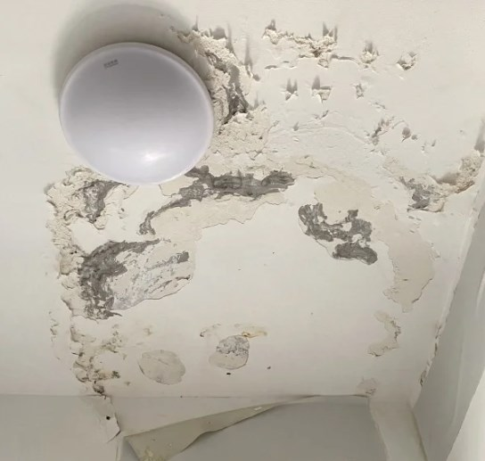 卫生间吊顶装修材料_吊顶卫生装修间材料哪种好_吊顶卫生装修间材料是什么