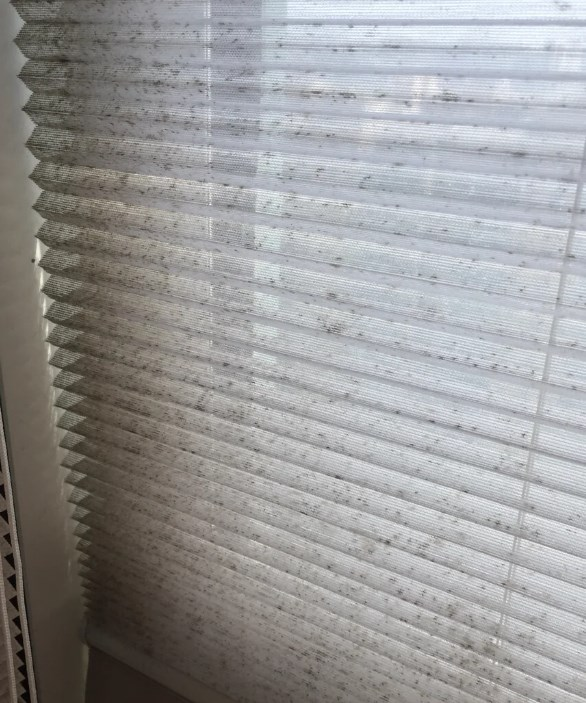 吊顶卫生装修间材料哪种好_卫生间吊顶装修材料_吊顶卫生装修间材料是什么