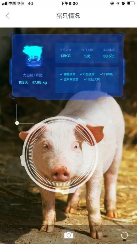 楼房钢构层什么意思_钢结构二层楼房造价_楼房造价钢层结构设计